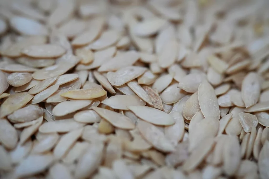 Close up of seeds to make gond panjiri
