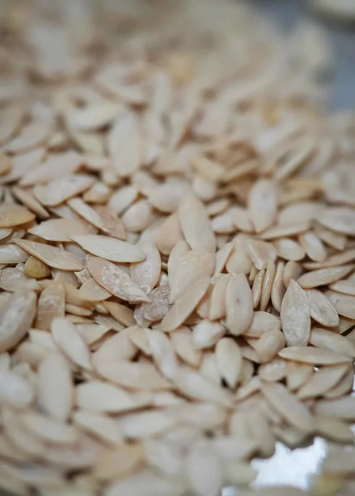 roasted seeds for gond barfi