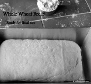 100% Whole Wheat Bread