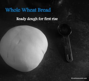 100% Whole Wheat Bread
