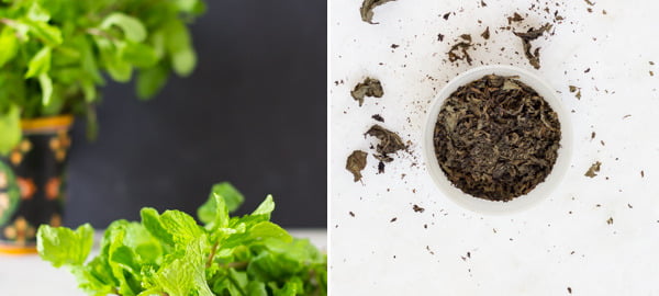 How to Dry Mint Leaves (Pudina Pata) at Home? | Top Methods for Dried Mint Leaves