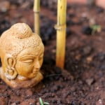 Food Photography Gear