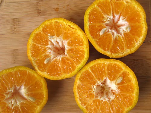 CLICKS Competition | Annual Photography Competition #Pune