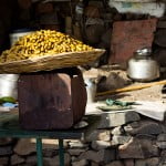 Sinhaghad Fort Pune | Series 1