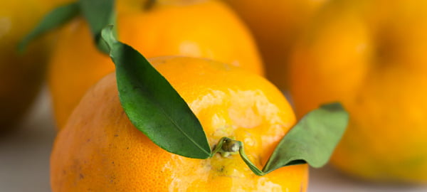 Oranges and Indian Gooseberries: Winter Superfood