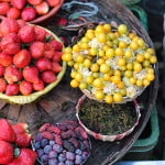 Mahabaleshwar and Panchgani | Series 2