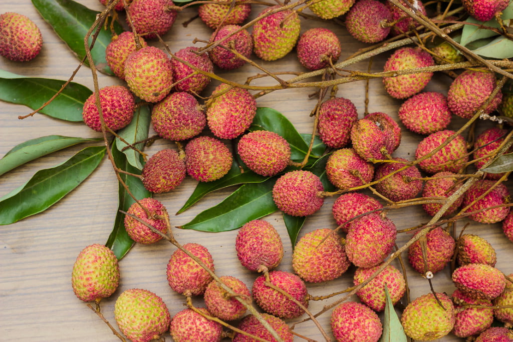 Why you should eat Litchis (Lychees) this summer? | Nutrition Facts & Benefits