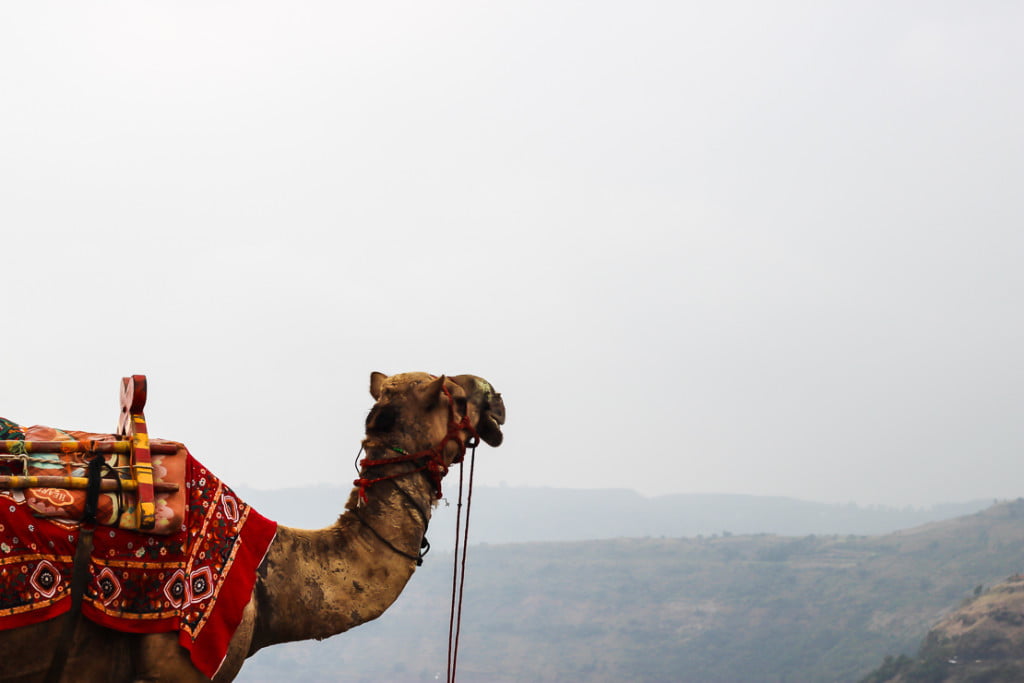 Mahabaleshwar and Panchgani | Series 4