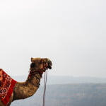 Mahabaleshwar and Panchgani | Series 4