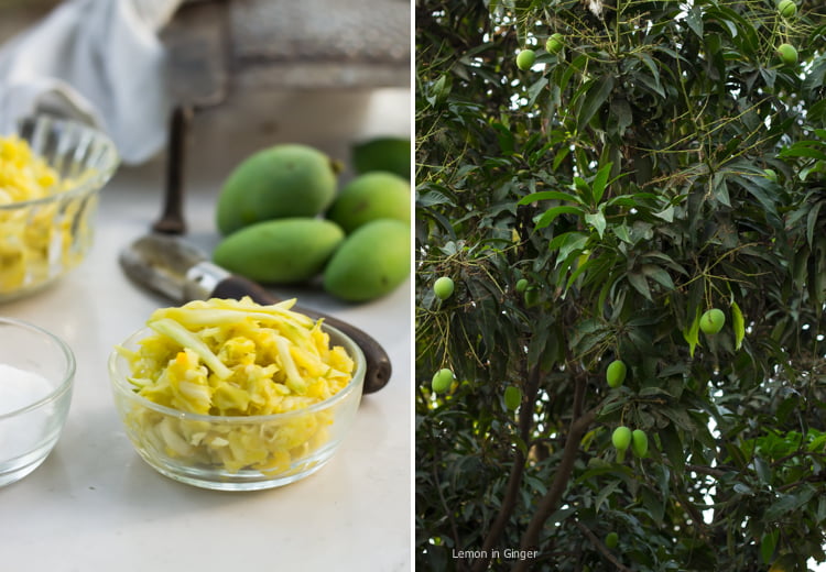 A bowl filled with grated raw mangoes