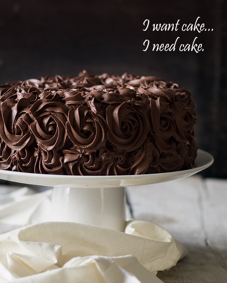 Side view of a Tiramisu Chocolate Cake with a smooth, glossy chocolate layer