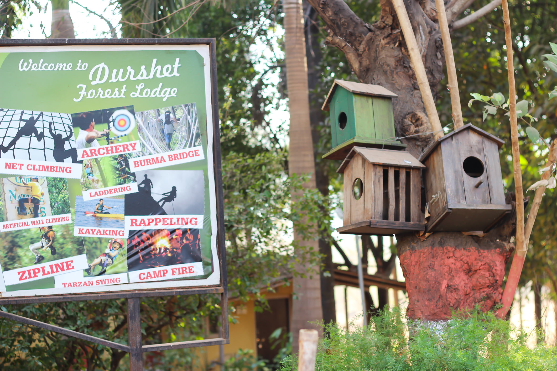 Durshet Forest Lodge