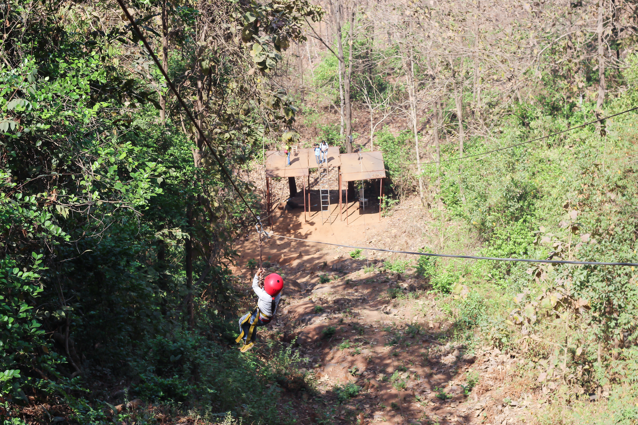 Durshet Forest Lodge