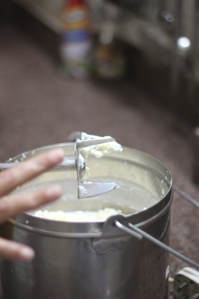Homemade butter ready to make ghee