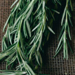Rosemary: Benefits, Uses, and Growing Tips