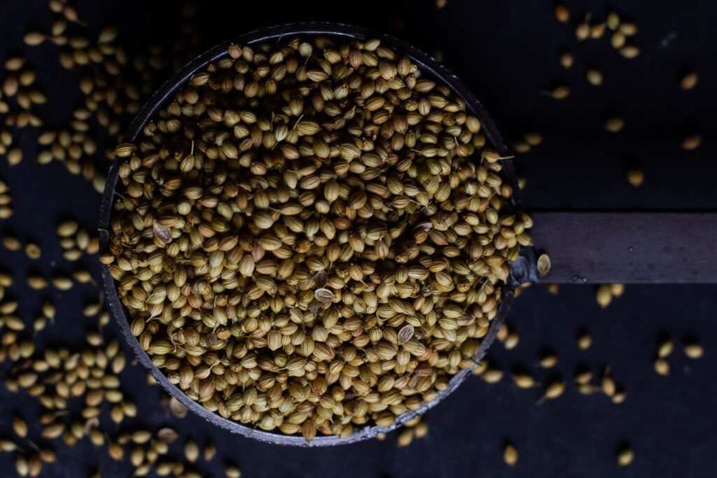 Coriander Seeds scattered