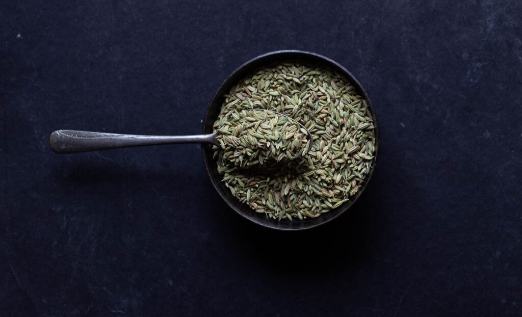 fennel seeds for 2 ingredient coriander powder recipe