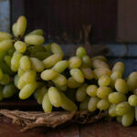 Grapes are big benefits in small bites | Health Benefits of Grapes